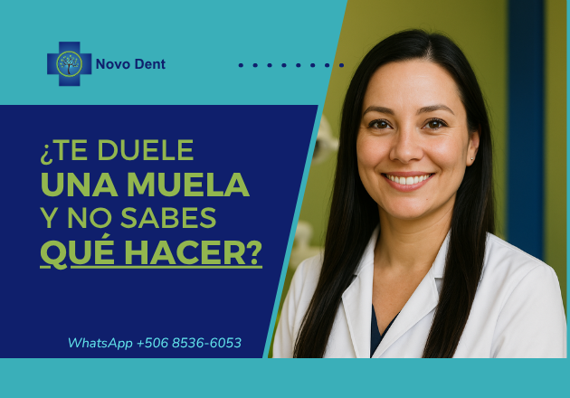 Te duele una muela y no sabes qué hacer